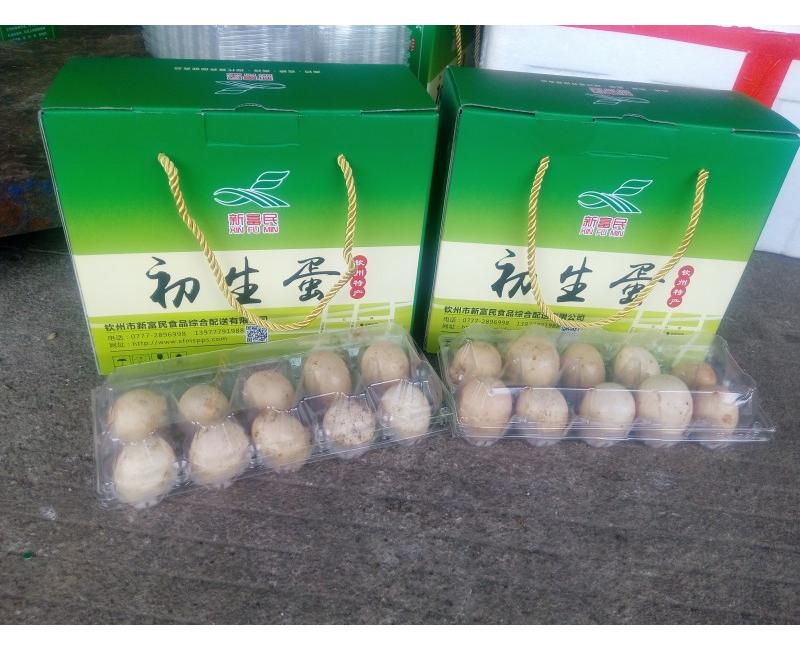 新富民初生蛋-源于天然 滋補(bǔ)有道。
